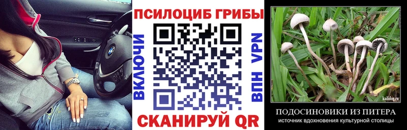 Галлюциногенные грибы GOLDEN TEACHER даркнет Telegram Мантурово как найти закладки